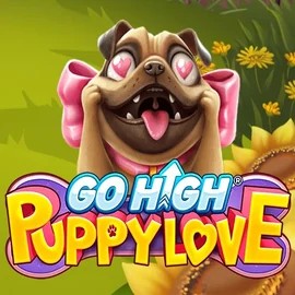 Go High Puppy Love logo by RubyPlay at Betista Casino